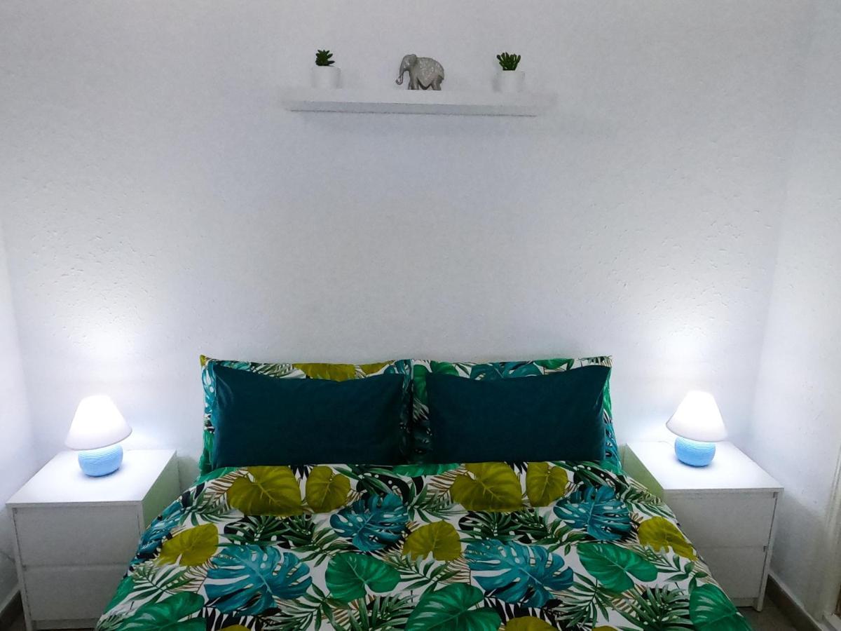 Apartamento Los Europeos La Mata  Exterior foto